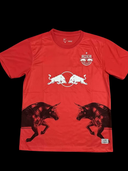 Maillots fan Leipzig