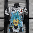 Maillots Japon 24/25
